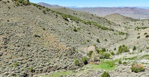 0 Pah Rah Springs Road, Reno, NV 89510 Photo