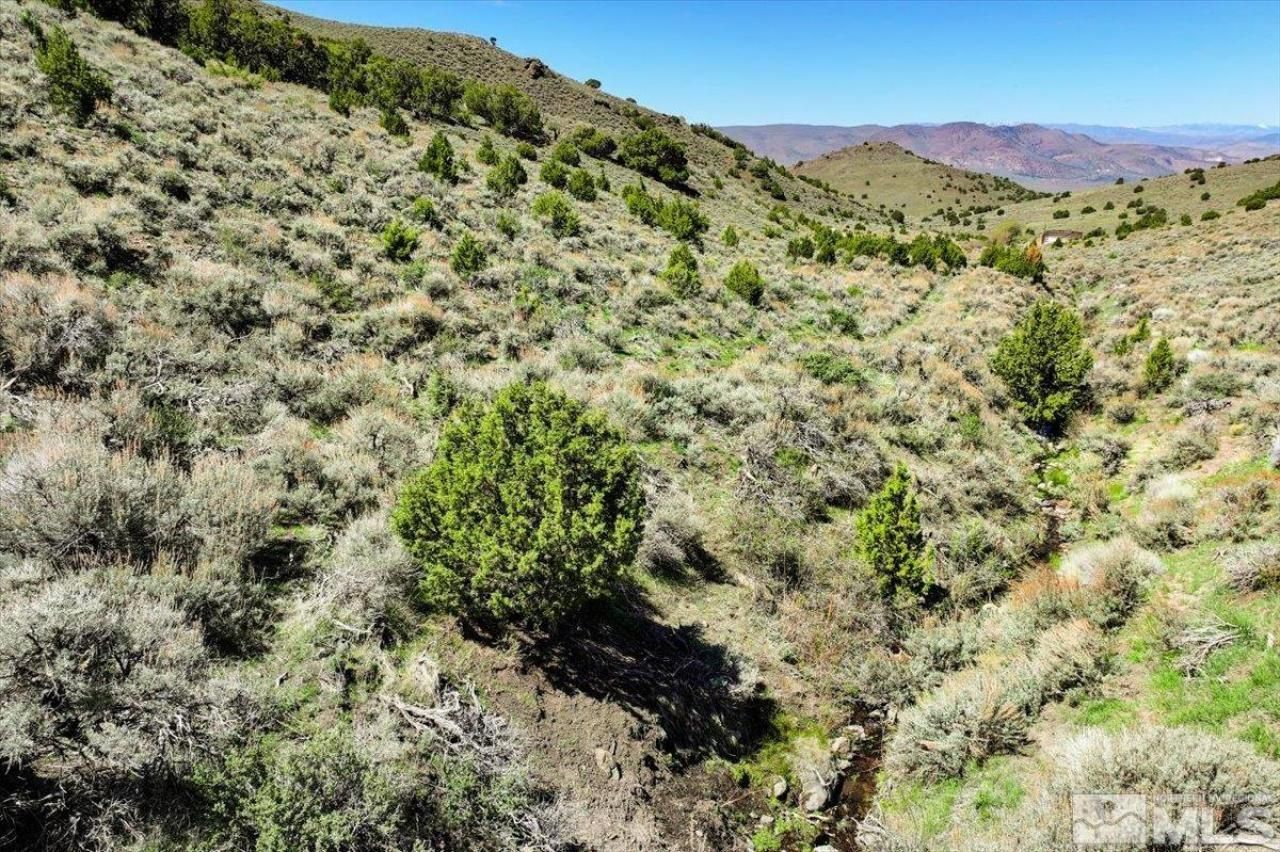 0 Pah Rah Springs Road, Reno, NV 89510 Photo