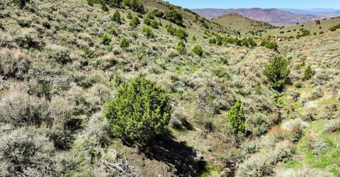 0 Pah Rah Springs Road, Reno, NV 89510 Photo