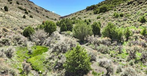 0 Pah Rah Springs Road, Reno, NV 89510 Photo