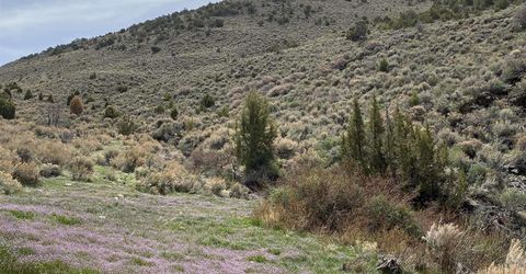 0 Pah Rah Springs Road, Reno, NV 89510 Photo