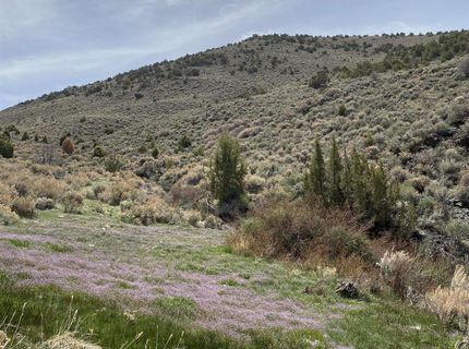 0 Pah Rah Springs Road, Reno, NV 89510 Photo