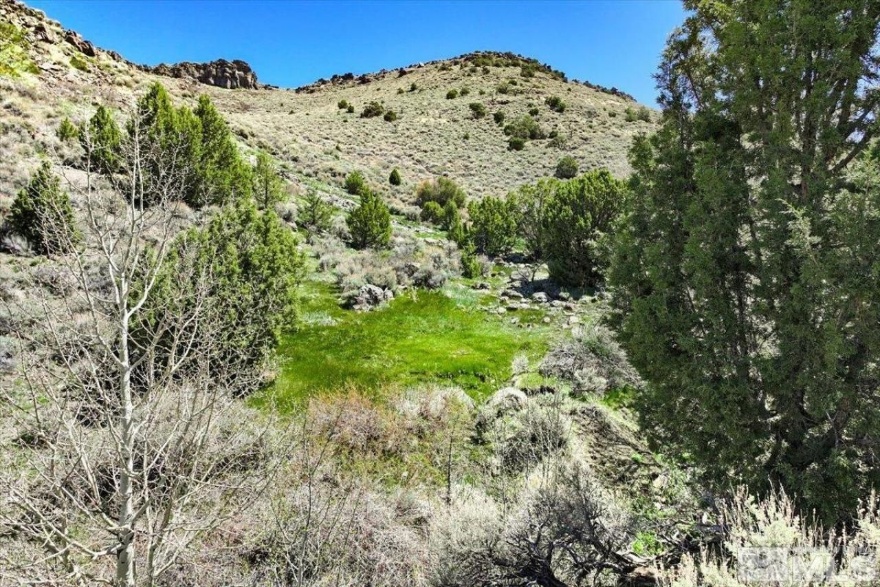 0 Pah Rah Springs Road, Reno, NV 89510 Photo