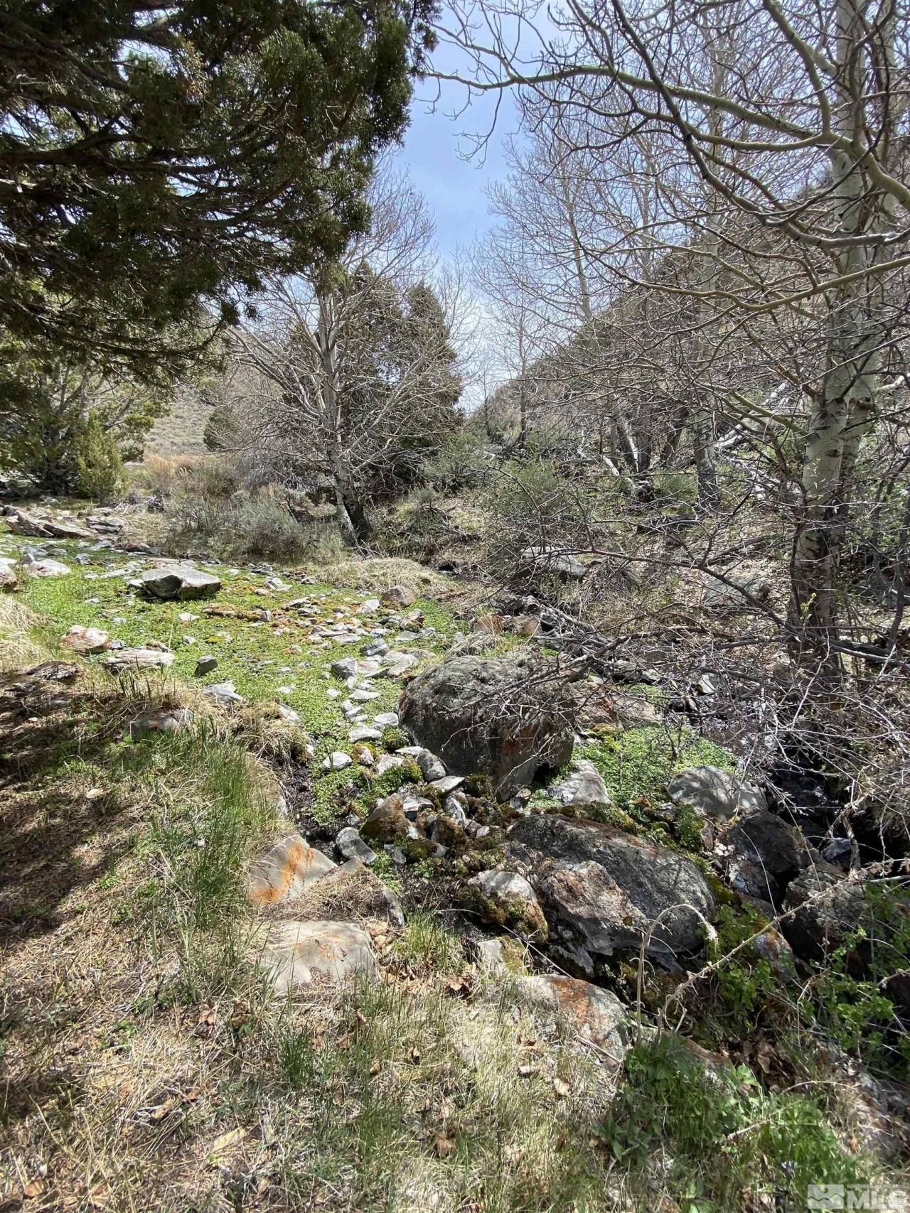 0 Pah Rah Springs Road, Reno, NV 89510 Photo