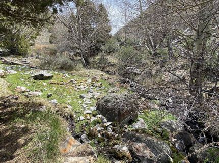 0 Pah Rah Springs Road, Reno, NV 89510 Photo