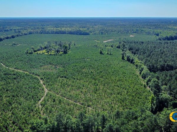 0 Marvis Chapman Road, Ideal, GA 31041