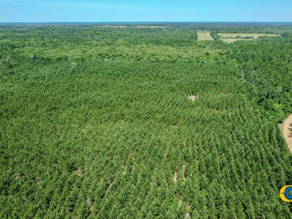 0 Miller Road W, Mauk, GA 31058