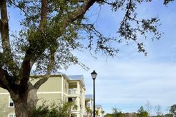 35 Delray Dr. photo 4