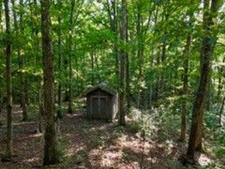 Property Image 6