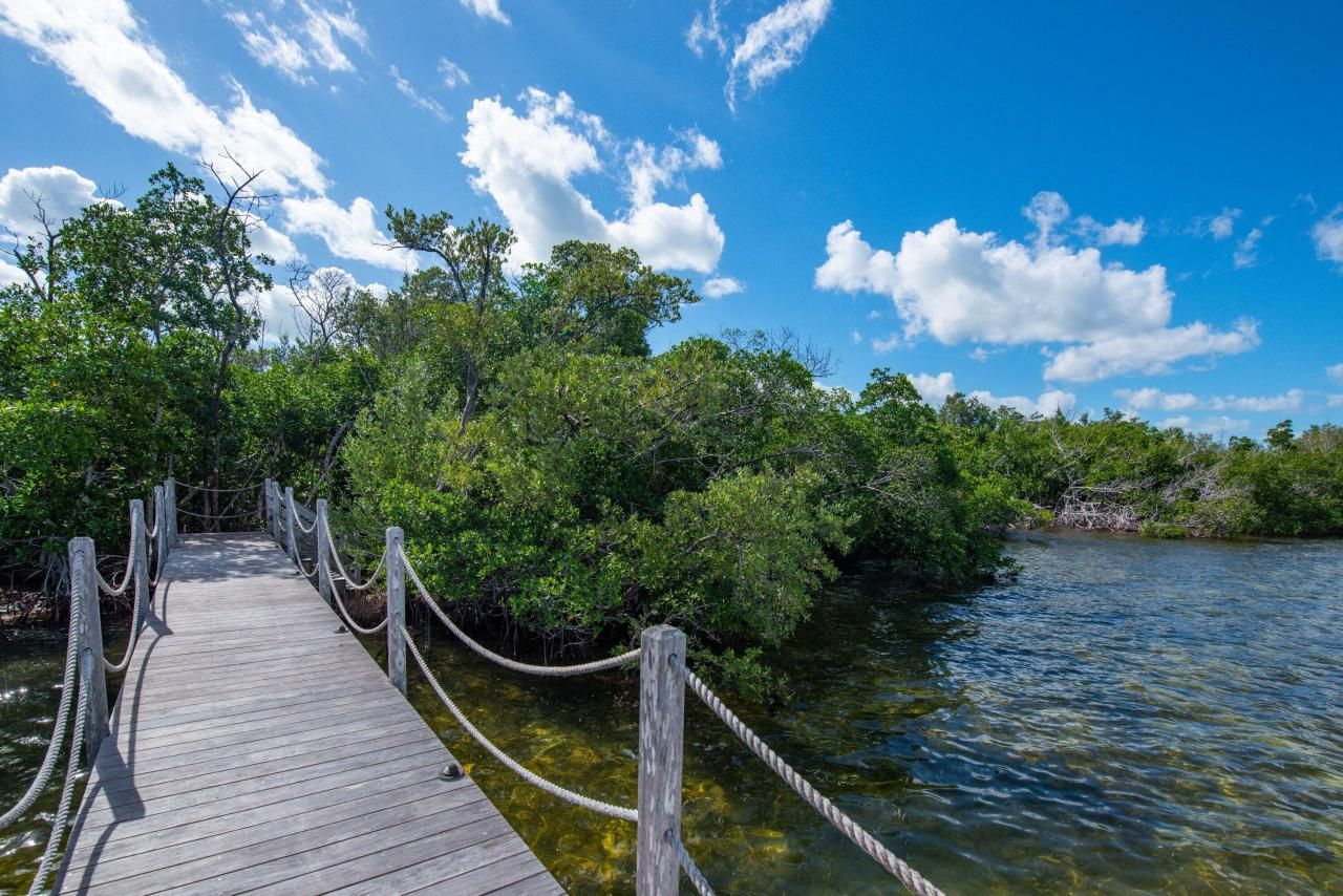 3127 Stewart Road, Middle Torch Key, FL 33042 Photo