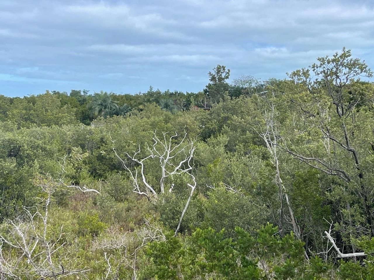 3127 Stewart Road, Middle Torch Key, FL 33042 Photo