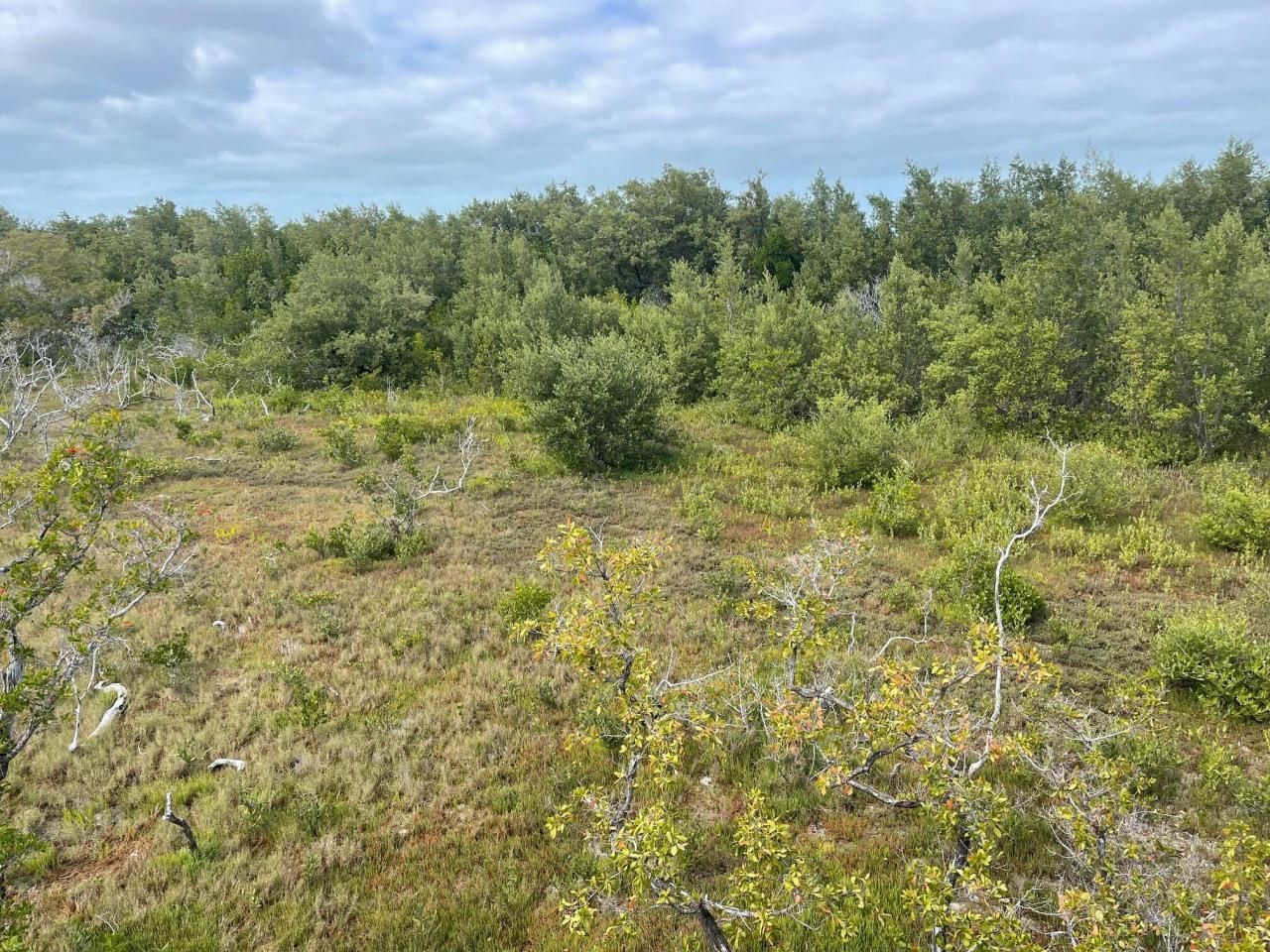 3127 Stewart Road, Middle Torch Key, FL 33042 Photo