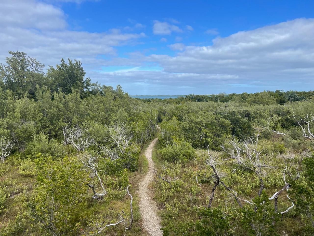 3127 Stewart Road, Middle Torch Key, FL 33042 Photo