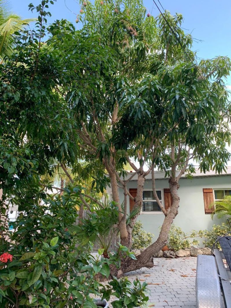 1136 W Shore Drive, Big Pine Key, FL 33043 Photo