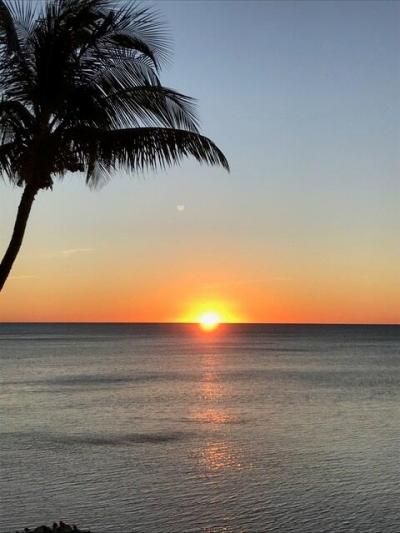 75131 Overseas Highway, Islamorada, FL 33036 Photo