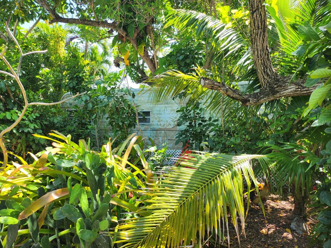 9 Hilton Haven Drive, Key West, FL 33040 Photo