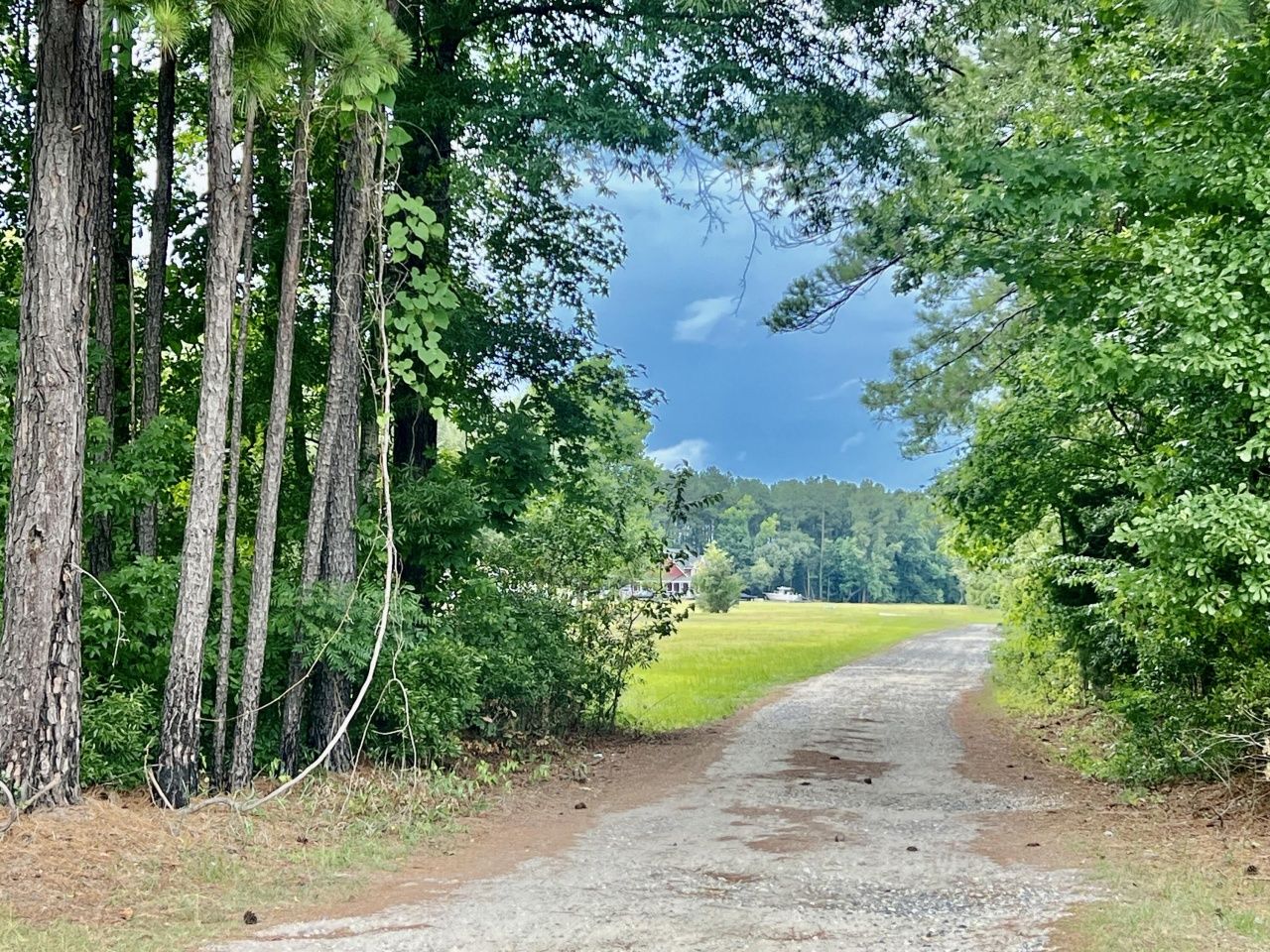 1056 Witherbee Road Photo 10