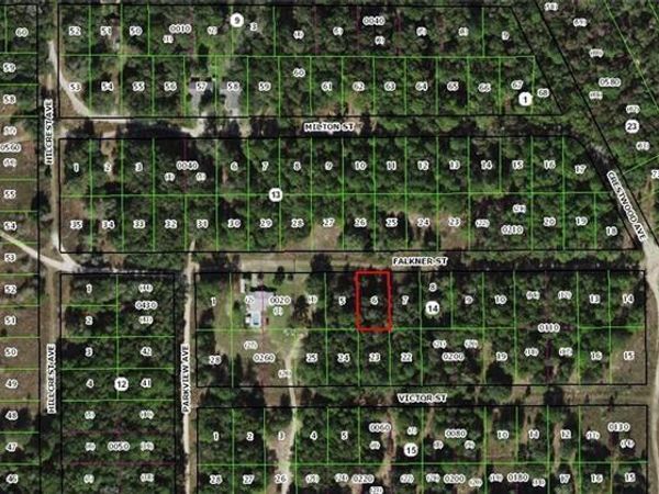 2003 FALKNER STREET, INVERNESS, FL 34453