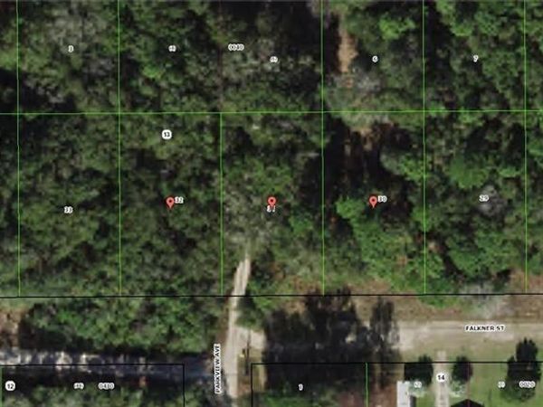 2104,2016,2014 FALKNER STREET, INVERNESS, FL 34453