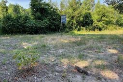 0 Old River Road photo 4