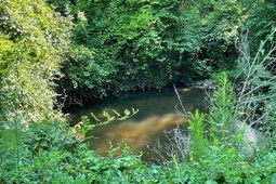 0 Old River Road photo 4