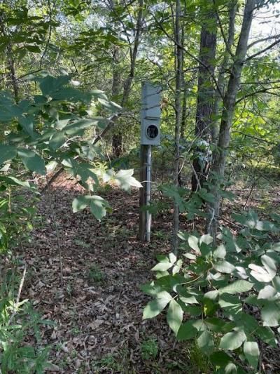 0 Old River Road Photo 6