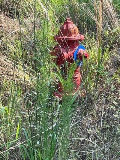 0 Old River Road Photo 7