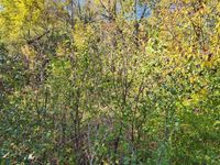 27W0S Roosevelt Road, Winfield, IL 60190 primary photo