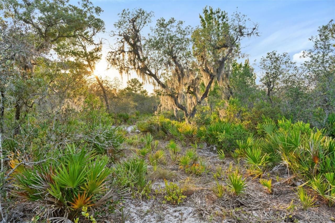 1980 Lake Buffum Road E, Fort Meade, FL 33841 Photo