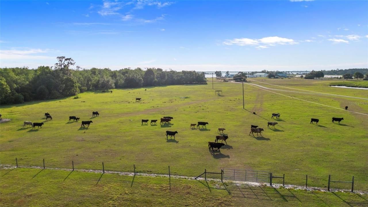 1980 Lake Buffum Road E, Fort Meade, FL 33841 Photo