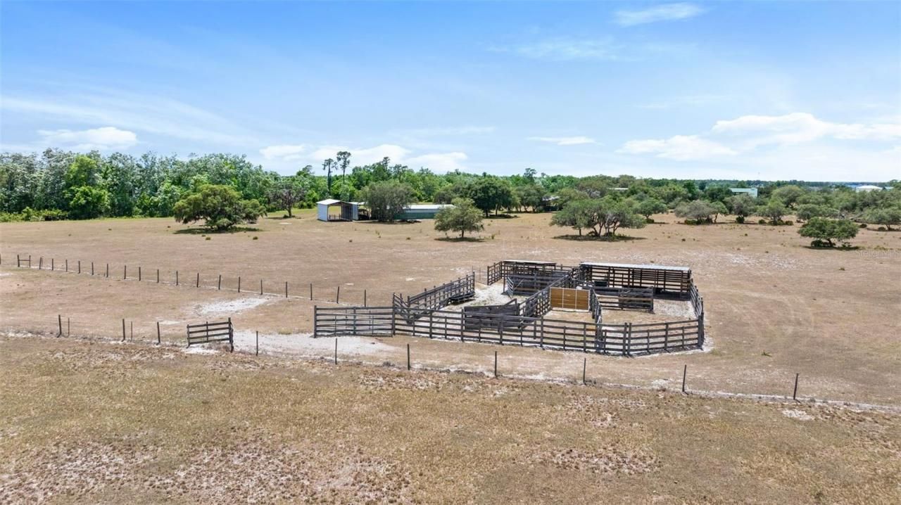 1980 Lake Buffum Road E, Fort Meade, FL 33841 Photo