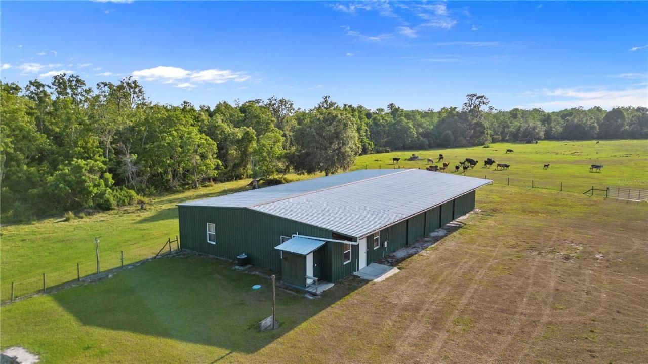 1980 Lake Buffum Road E, Fort Meade, FL 33841 Photo