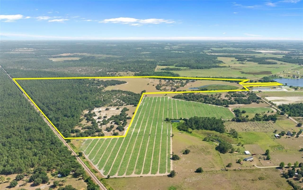 1980 Lake Buffum Road E, Fort Meade, FL 33841 Photo