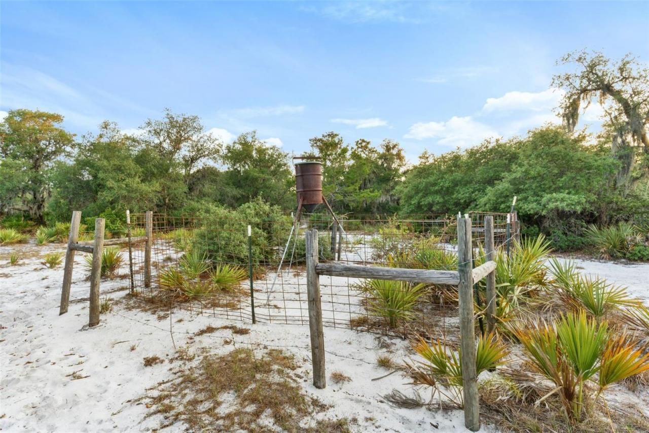 1980 Lake Buffum Road E, Fort Meade, FL 33841 Photo