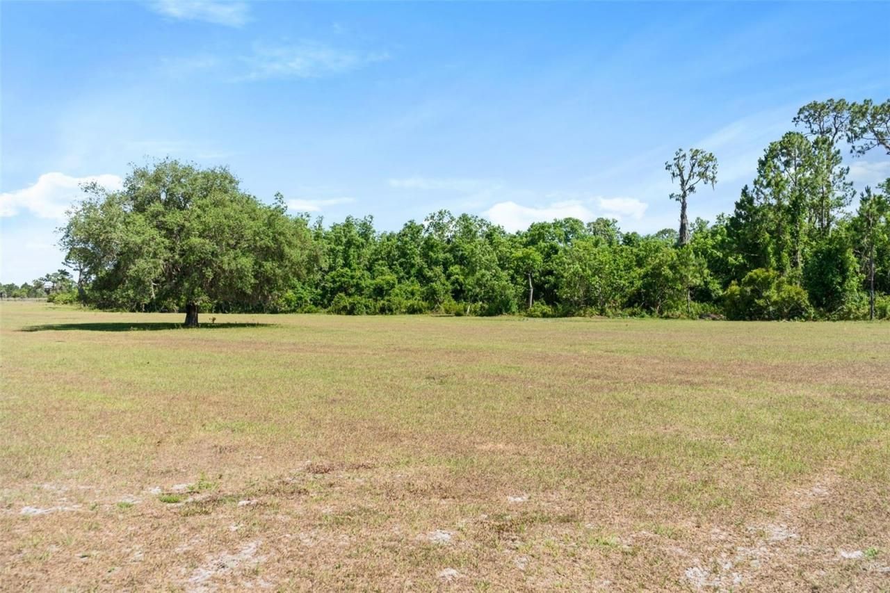 1980 Lake Buffum Road E, Fort Meade, FL 33841 Photo