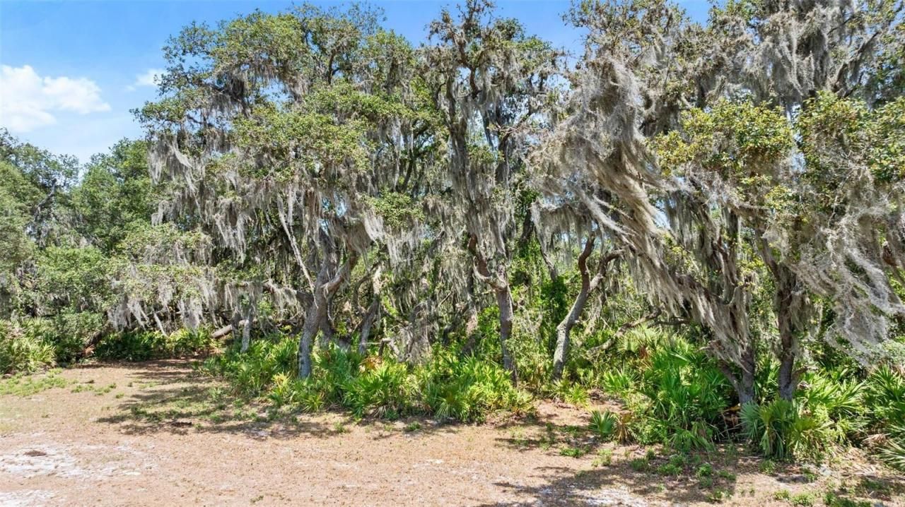 1980 Lake Buffum Road E, Fort Meade, FL 33841 Photo