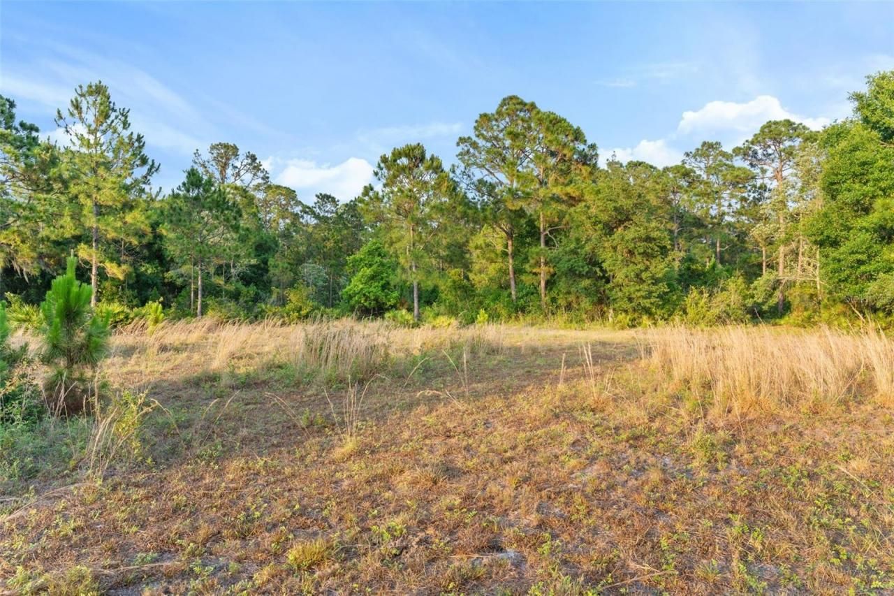 1980 Lake Buffum Road E, Fort Meade, FL 33841 Photo