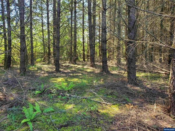 30200 Fairview (Next To) Rd, Lebanon, OR 97355