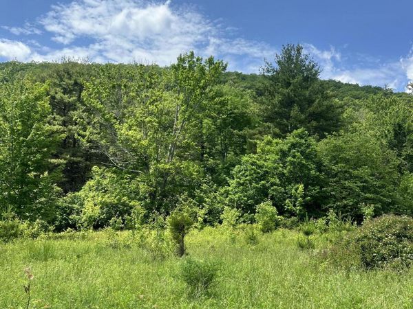 L5.126 Tae Kwon Road, North Blenheim, NY 12131