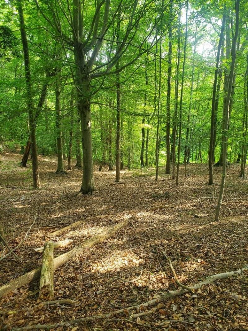 Lot 27 Queens Way, Montross, VA 22520 Main Photo