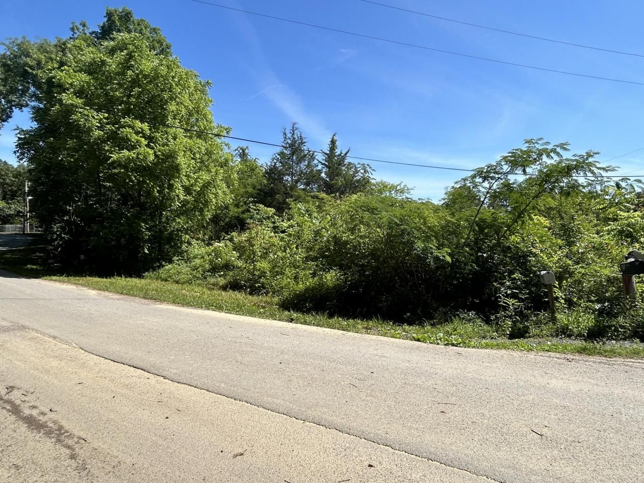 0 Dr Johnson Road, Crandall, GA 30711 Main Photo