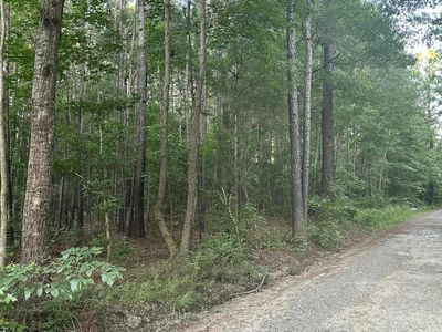 0 Pearl Acres Lane, Huger, SC 29450