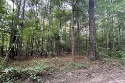 0 Pearl Acres Lane photo 4