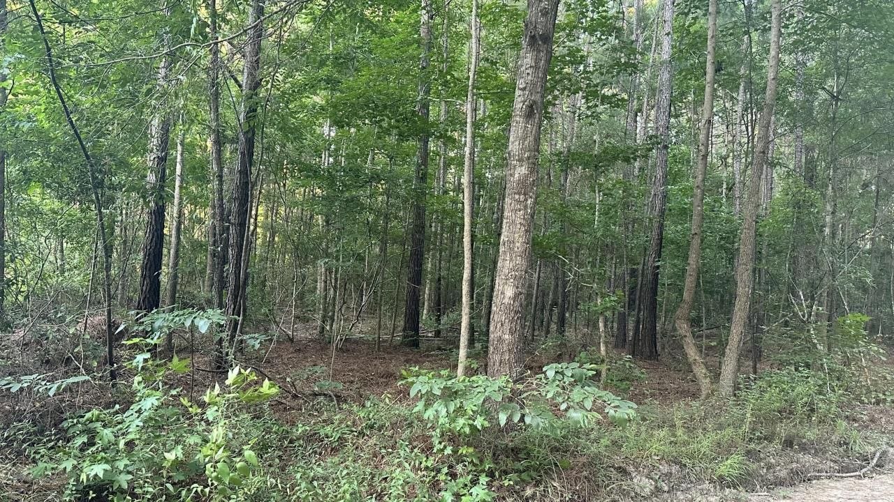 0 Pearl Acres Lane Photo 3