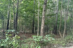 0 Pearl Acres Lane photo 4