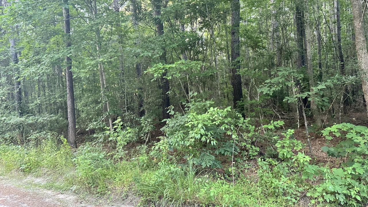 0 Pearl Acres Lane Photo 4