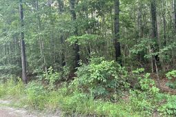 0 Pearl Acres Lane photo 4