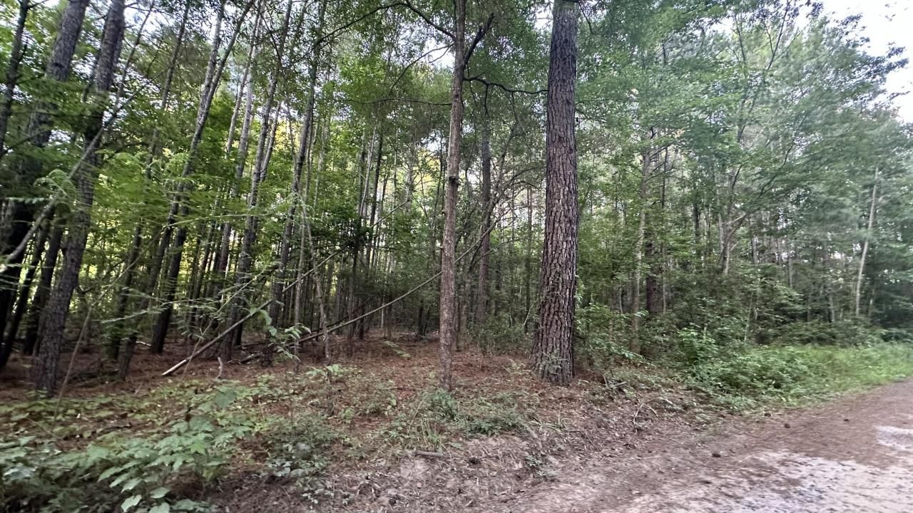 0 Pearl Acres Lane Photo 5