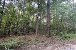 0 Pearl Acres Lane photo 4