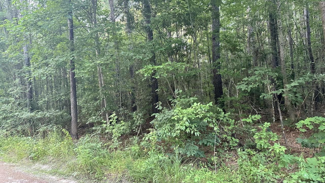 0 Pearl Acres Lane Photo 6